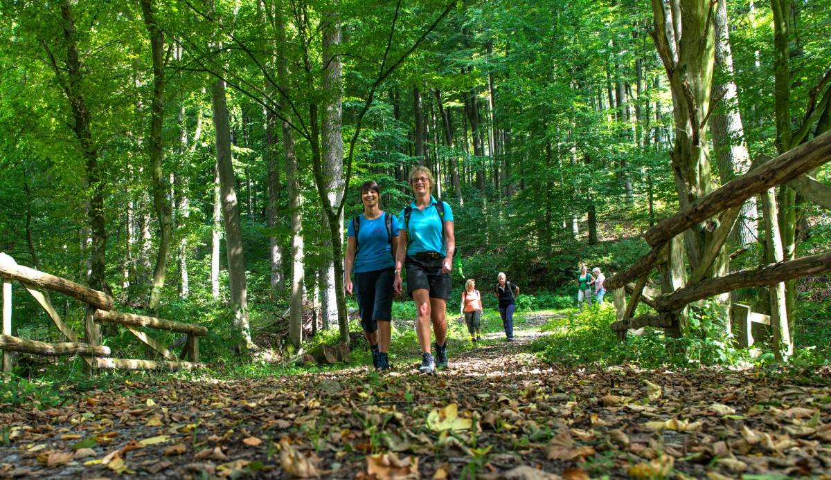 Wildnis-Steig Altenbeken © Gemeinde Altenbeken